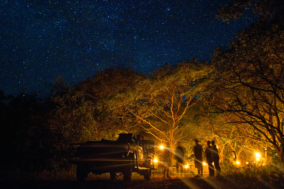 Safari noturno-Africa do Sul