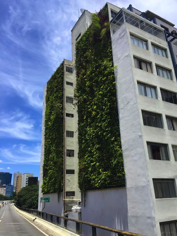 Jardim vertical em pleno Minhocão de São Paulo